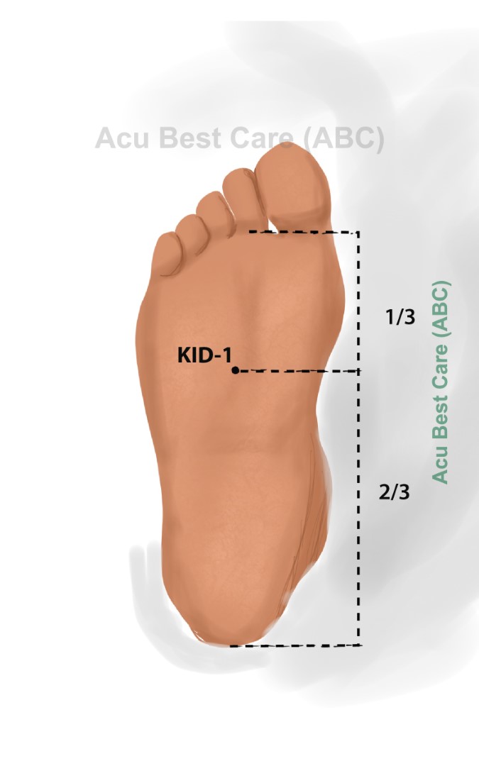 Acubestcare Meridian K-01 or KID-01